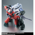 Mobile Suit Gundam: MSM-07 Z'Gok (Mass Production) (Ver. A.N.I.M.E.) - TAMASHII NATIONS The Robot Spirits Action Figure (PREORDER)