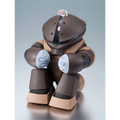 Mobile Suit Gundam: MSM-04 Acguy (Ver. A.N.I.M.E.) - TAMASHII NATIONS The Robot Spirits Action Figure (PREORDER)