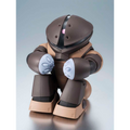 Mobile Suit Gundam: MSM-04 Acguy (Ver. A.N.I.M.E.) - TAMASHII NATIONS The Robot Spirits Action Figure (PREORDER)