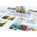 Gift of Tulips: Ribbons (PREORDER)