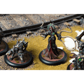 Warmachine: Orgoth Graveborn Command Cadre