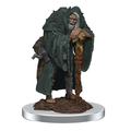 Dungeons & Dragons Nolzur's Marvelous Unpainted Miniatures: Wereravens
