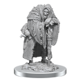 Dungeons & Dragons Nolzur's Marvelous Unpainted Miniatures: Wereravens