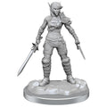 Dungeons & Dragons Nolzur's Marvelous Unpainted Miniatures: Elf Rogue & Half-Elf Rogue Protege