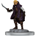 Dungeons & Dragons Nolzur's Marvelous Unpainted Miniatures: Elf Rogue & Half-Elf Rogue Protege