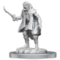 Dungeons & Dragons Nolzur's Marvelous Unpainted Miniatures: Elf Rogue & Half-Elf Rogue Protege