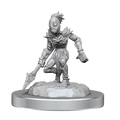 Dungeons & Dragons Nolzur's Marvelous Unpainted Miniatures: Vegepygmies