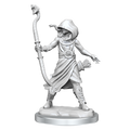 Dungeons & Dragons Miniatures: Frameworks - Medusa (Wave 2)